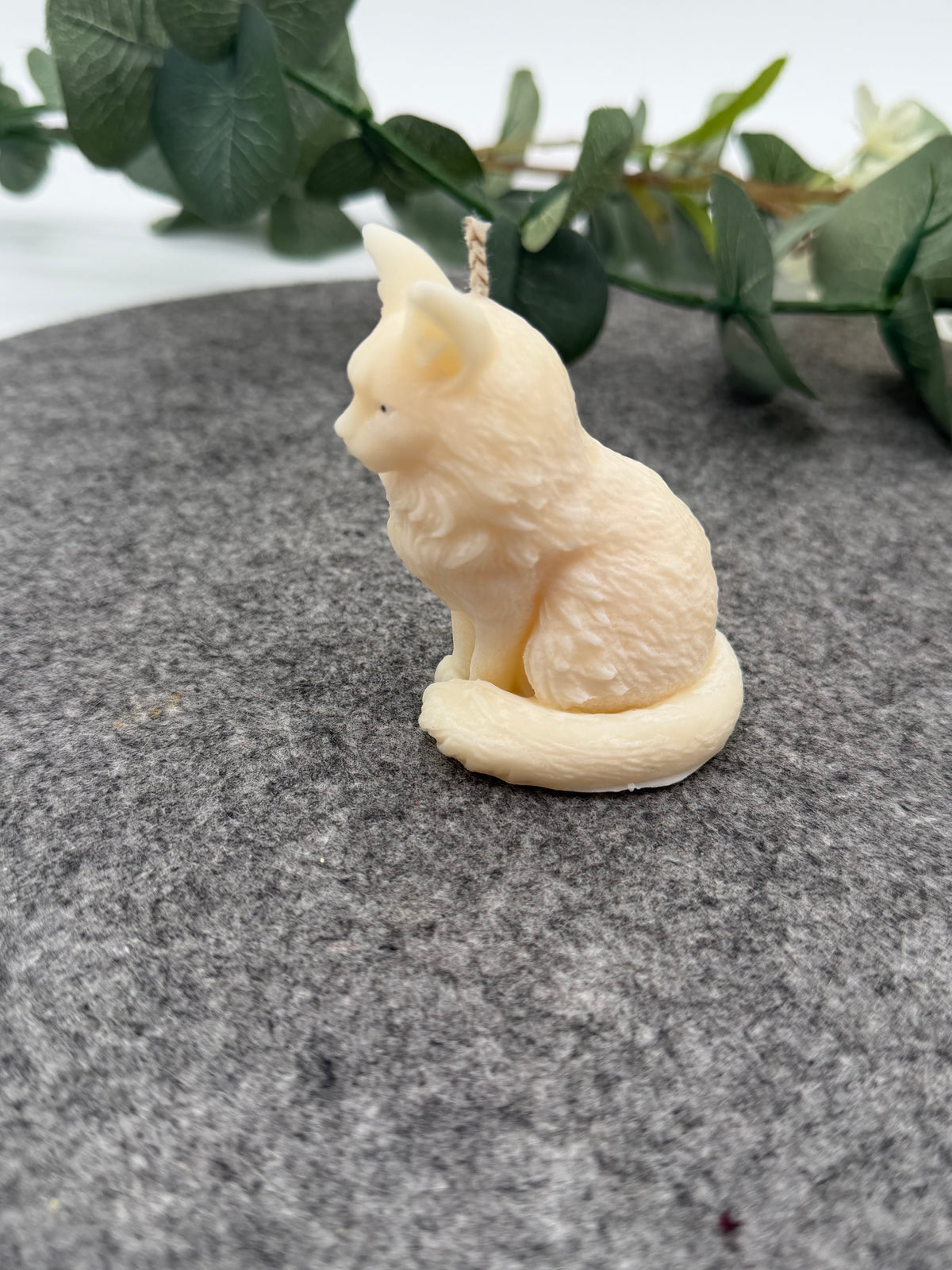 Kleine Luna Katze
