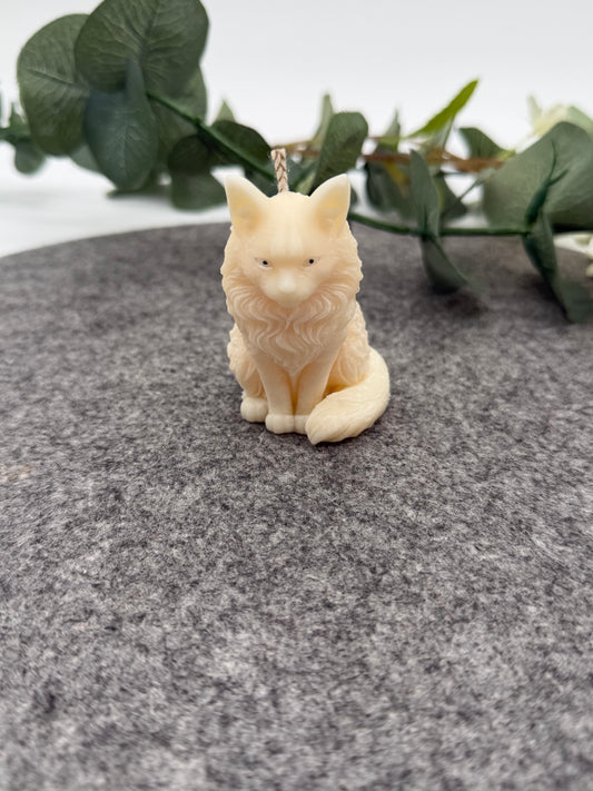 Kleine Luna Katze
