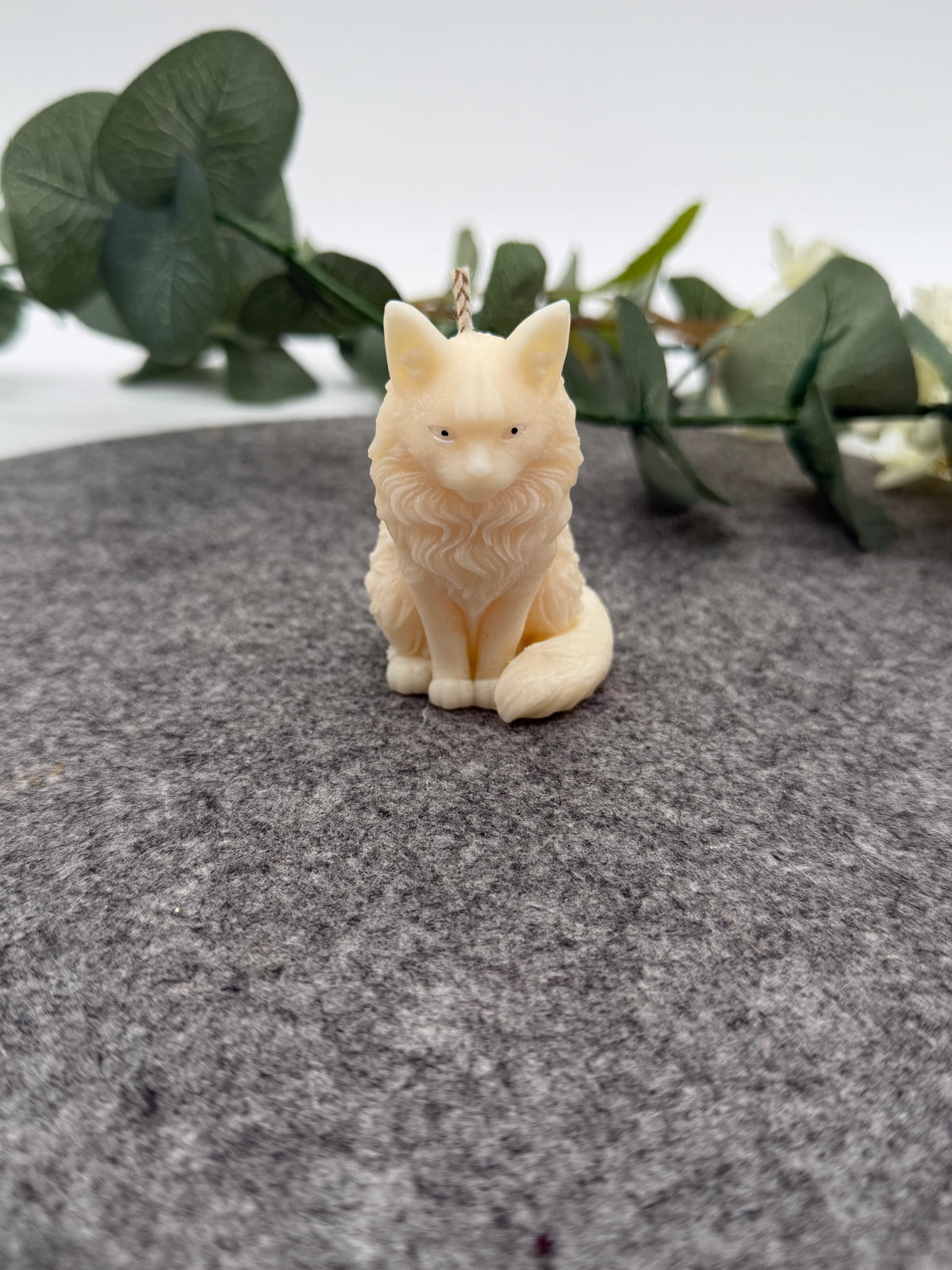 Kleine Luna Katze