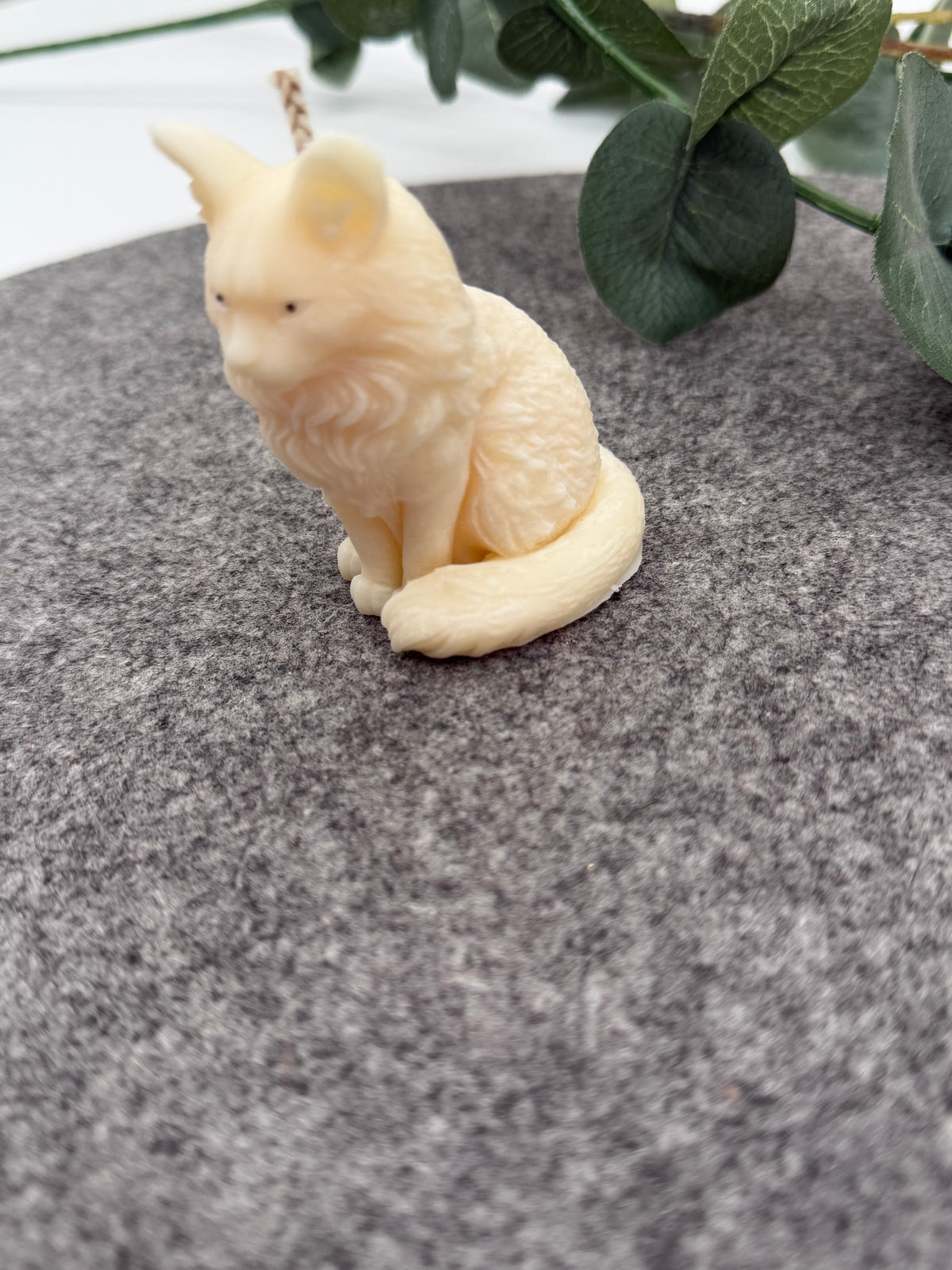 Kleine Luna Katze