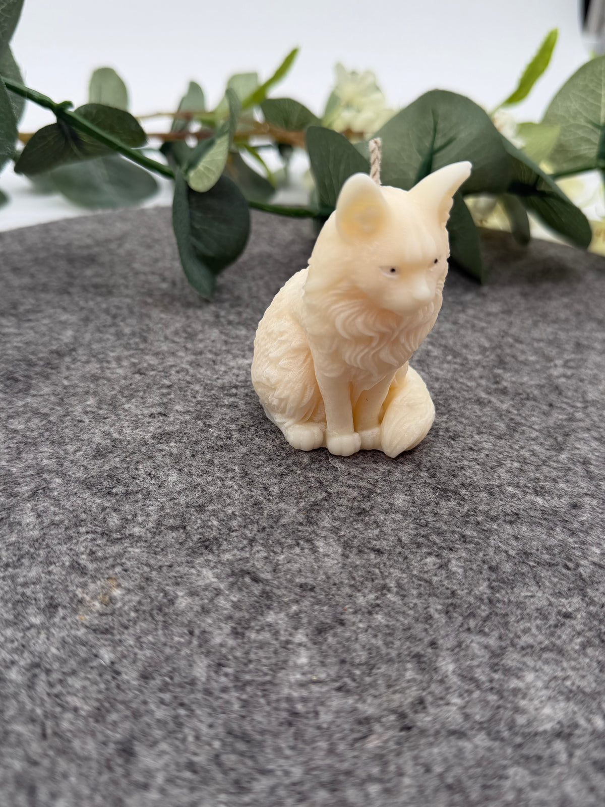 Kleine Luna Katze