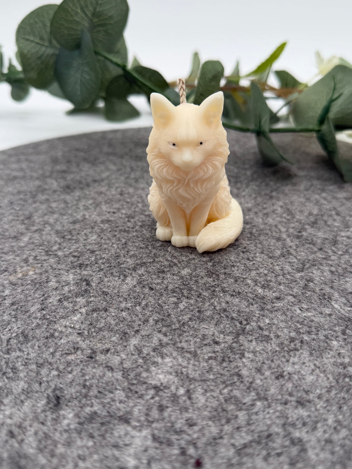 Kleine Luna Katze