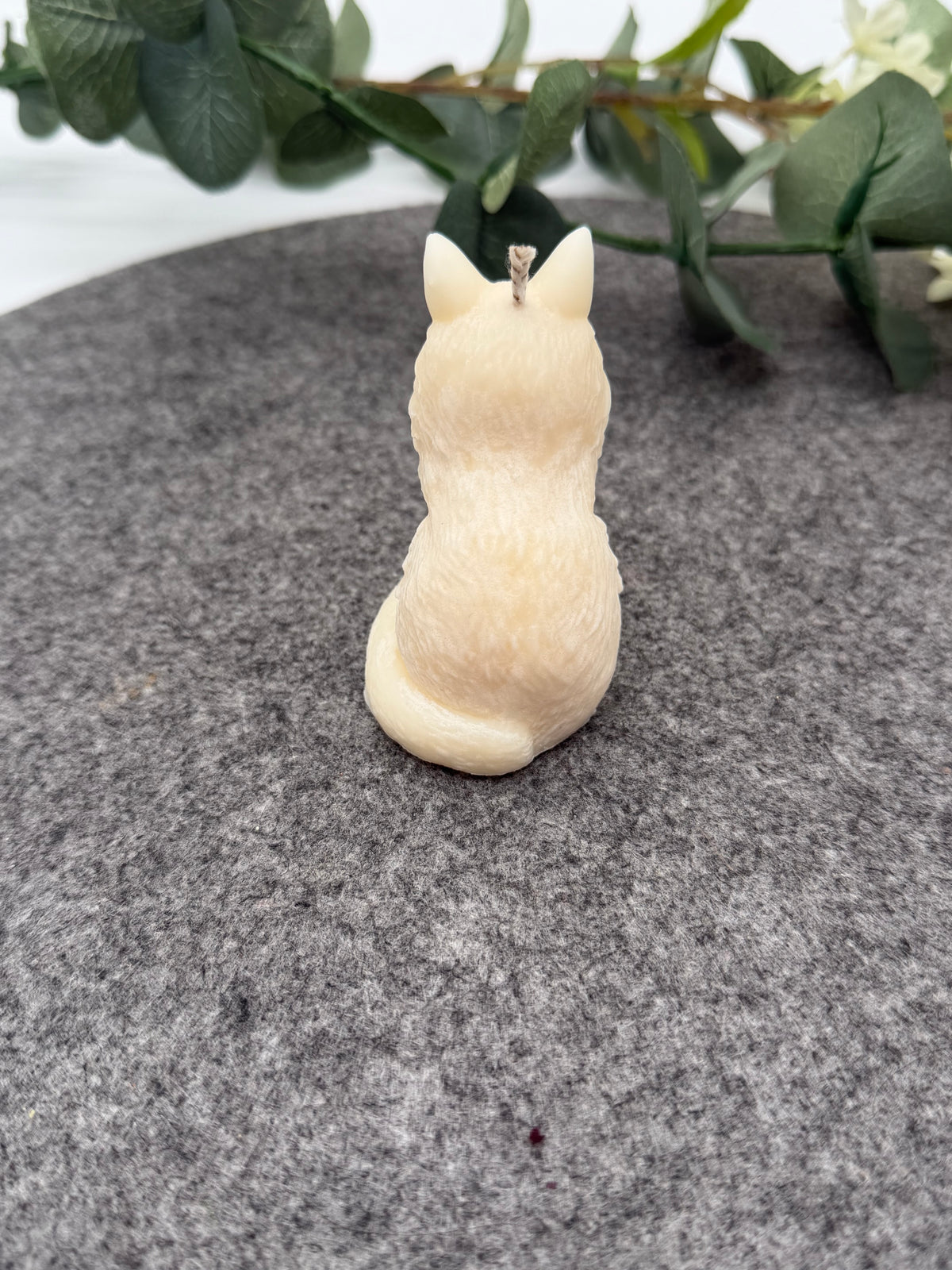 Kleine Luna Katze